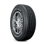 Bridgestone Turanza 6 22555R19