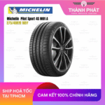 275.40.19 pilot sport 4S