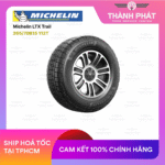 michelin-249