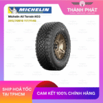 michelin-387
