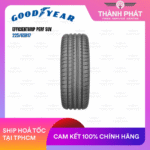 goodyear-111