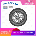 goodyear-79